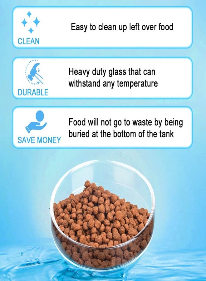 Dannisly Aquarium Glass Feeder Dish Shrimp Feeding Dish Round Clear Glass Fish Feeder Bowl Fish Tank Food Tray Container Prevent Food Spilling, 65mm - Image 5